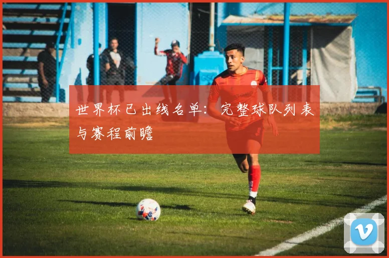 世界杯已出线名单：完整球队列表与赛程前瞻