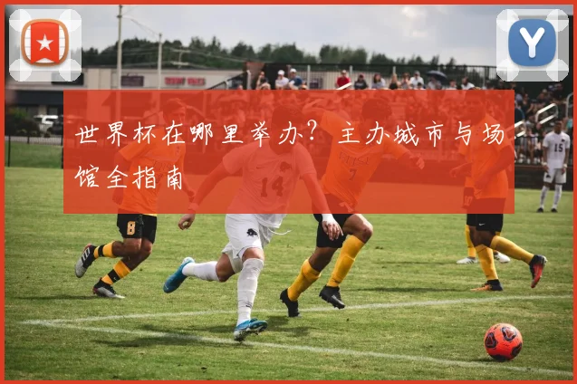 世界杯在哪里举办?主办城市与场馆全指南