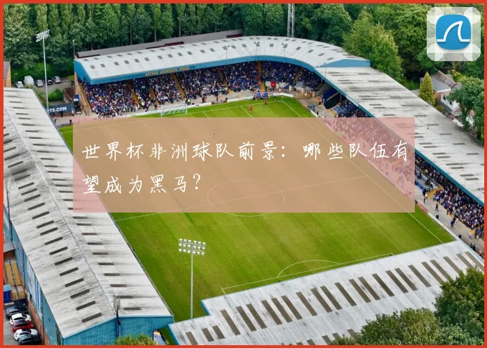 世界杯非洲球队前景:哪些队伍有望成为黑马?