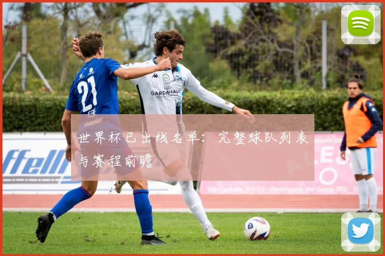 世界杯已出线名单:完整球队列表与赛程前瞻